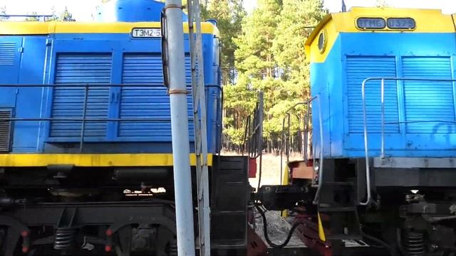 ВЛ11-394 с перегоняемыми ТЭМ2-5354, ТГМ6Д-0375 и грузовым поездом смотреть онлайн