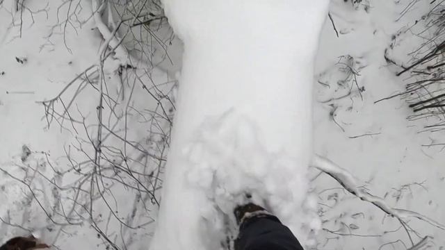 Легкий экстрим по старому дубу. смотреть онлайн