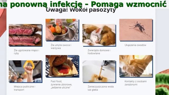 Vormixil Zastosowanie смотреть онлайн