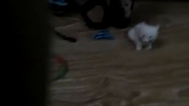 Zoo покупки для щенка смотреть онлайн