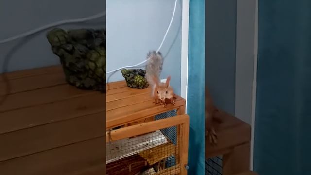 VID 20211206 112108 смотреть онлайн