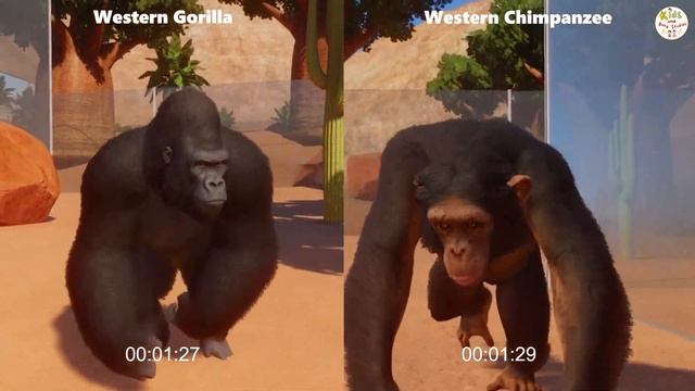 PLANET ZOO ORANGUTAN GORILLA RUNNING. WESTERN LAWLAND GORILLA VS WESTERN CHIMPANZEE RACES. RUN смотреть онлайн