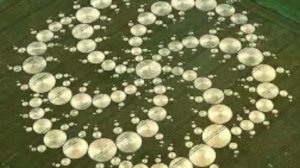 Круги на полях: все страшнее, чем кажется