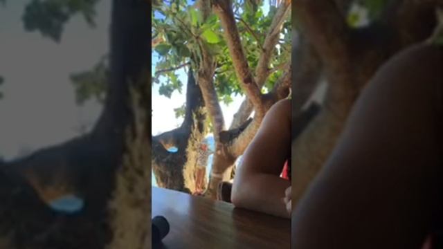 Sexy women caught on camera смотреть онлайн