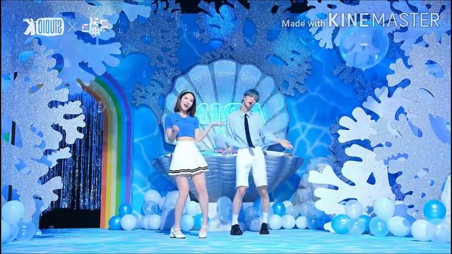 Sobin & Arin | Dolphin | Total Focus Mirror