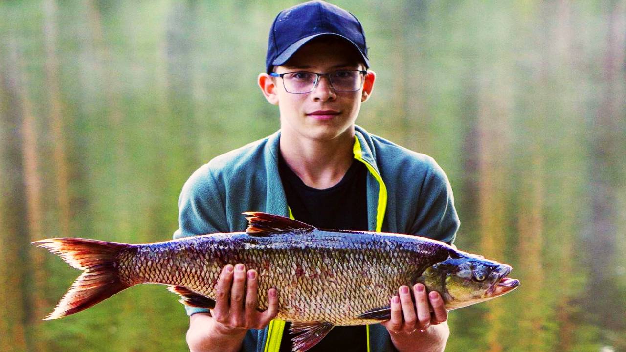 Лучшая рыбалка года. 10 дней отдых с палатками в лесу. 1 серия. Трофейный жерех.