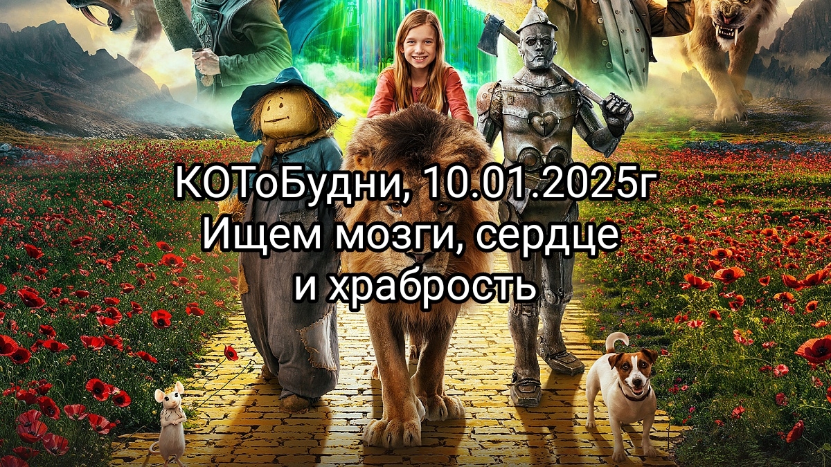 КОТоБудни от 10.01.2025 г..., а завтра начинается Новое Путешествие! смотреть онлайн