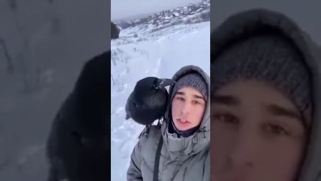 Ворон смотреть онлайн