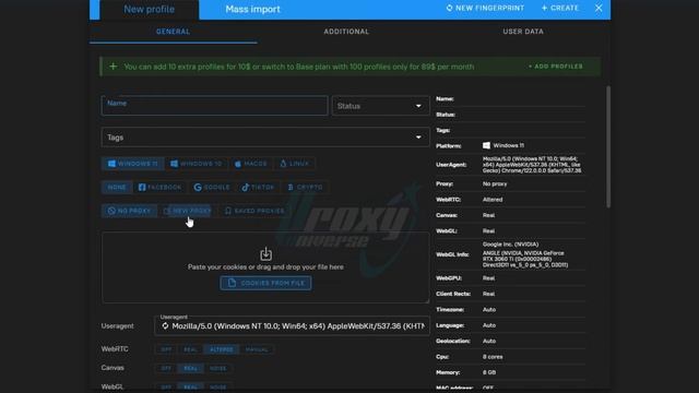 How To Use Dolphin{anty} Browser With Pia S5 Proxy