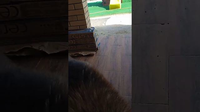Заре очень жарко в шубе смотреть онлайн