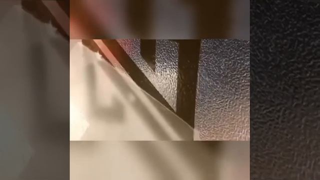 Avance informativo!! Grande Nacho!! Humilde Regala Perros Calientes en Margarita!! смотреть онлайн