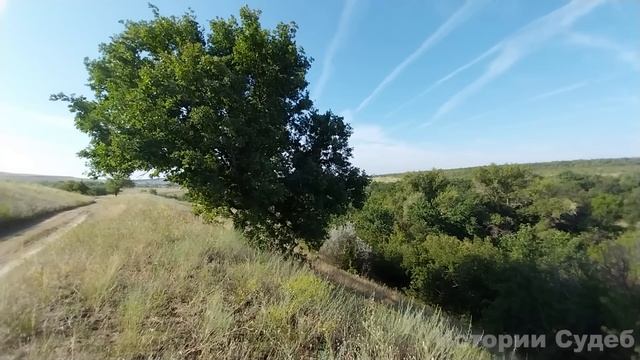 Пусть дети у тебя летом поживут пока мы дом восстановим после пожара. Сказала Ира золовке, но та... смотреть онлайн