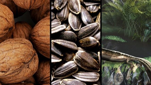 11 SCARIEST Prehistoric Bugs! смотреть онлайн