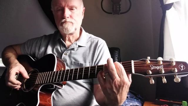 The Needle and the Damage Done on a Seagull Guitar смотреть онлайн