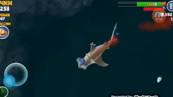 Акула молот