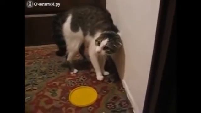 ухади,аташол смотреть онлайн