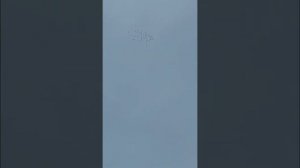 венгерские голуби Будапештские высоколетные Г Покровск