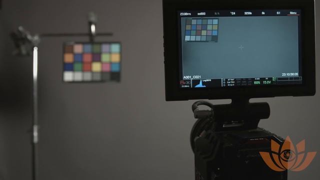 What is the difference between each color space on the RED Dragon? - Quick Tips by Camera Ambassado смотреть онлайн