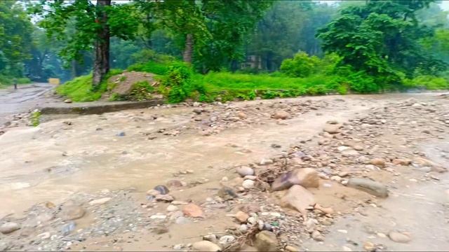 Tiger 🐅 territory मैं बेखौफ घूमते लोग 😰 (OMG) ab kya hoga ❌//Sunderkhal Jim Corbett National park смотреть онлайн
