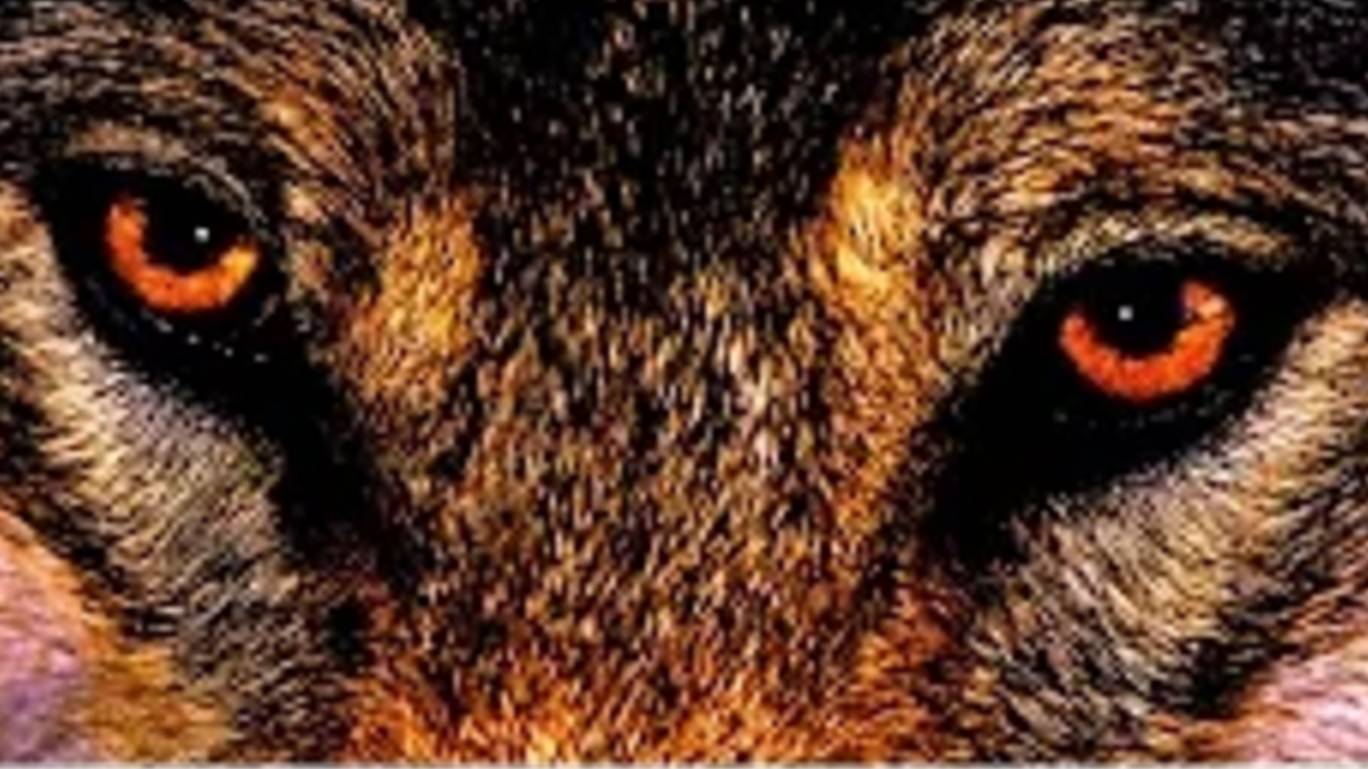 ОДИНОКИЙ ВОЛК смотреть онлайн