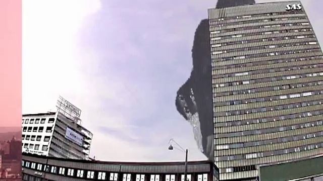 Whyte Seeds Back in town смотреть онлайн