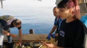 Греки, Греция  Орёл и Решка  Земляне