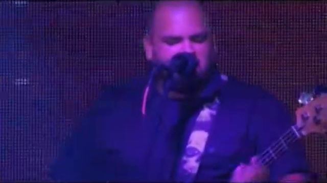 Skytrain - Neon Jungle Live at Latitude 30 смотреть онлайн