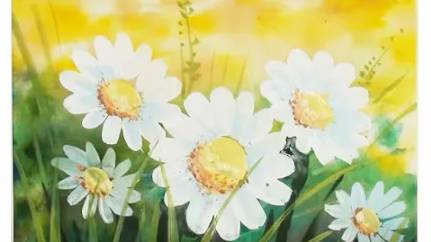 Как нарисовать цветы поэтапно. Ромашки на лугу. Поэтапный рисунок смотреть онлайн
