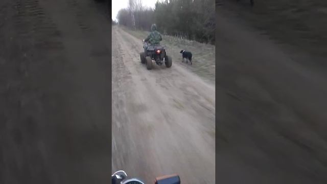 3 июня 2020 г. смотреть онлайн