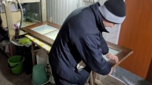 Тюльпан | Семена | Дверь