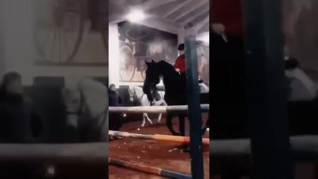 Возрождение конного спорта в Казахстане #shorst #казахстан #астана смотреть онлайн