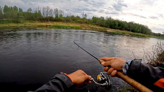 Яркое продолжение «голавлемании» 2024