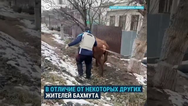5 смотреть онлайн