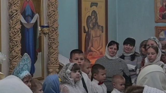 Видео смотреть онлайн