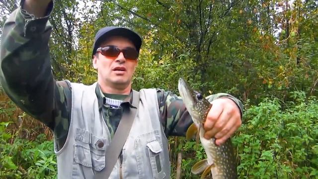 Злые щуки микроречки