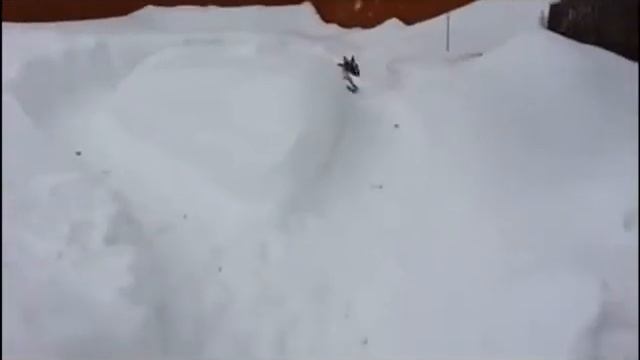 Ну очень игривый пёс. смотреть онлайн