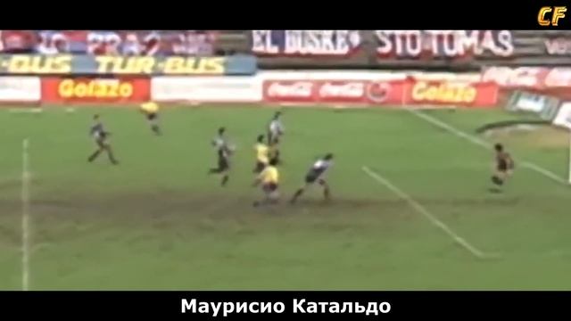 Рабона финт