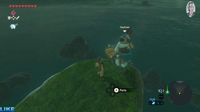 #Zelda Minisfide #14 - #Il Tesoro dell'Eroe смотреть онлайн