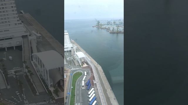 オープン初日速報！神戸ポートタワー屋上デッキ眺め！ 初めて入場が可能となった360°展望ガラス張りデッキ！本日4月26日リニューアルオープンKOBE PORT TOWER　#Shorts #kob смотреть онлайн