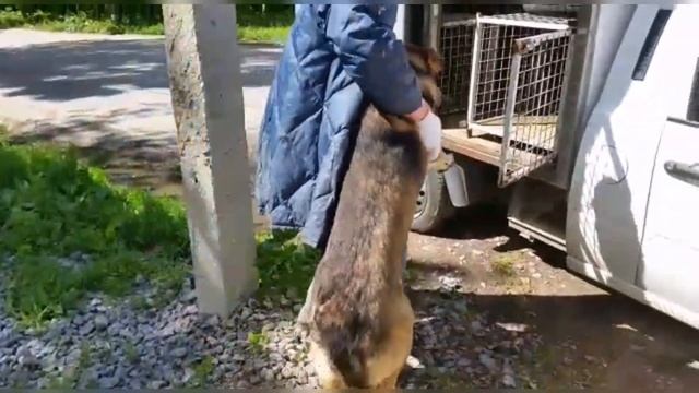 В ЭФИРЕ "БАРБОСКИН НЬЮЗ"🐾💌
НОВОСТИ ПРИЮТА ОТ 04 ИЮЛЯ! смотреть онлайн