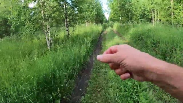 День 354. И снова медвежий след. Дистанция 16 километров. смотреть онлайн