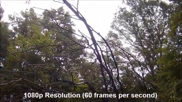 Review - AEE Lyfe Silver Action Camera смотреть онлайн