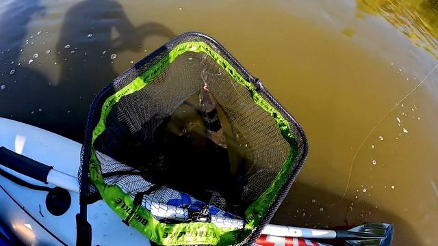 Крупная щука на малой реке