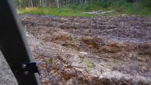 Argo Centaur. Испытания в лесу