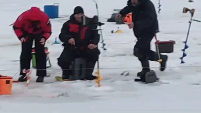 Зарыбление и поимки Спорт-Зона