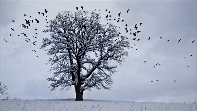 Vedat Özkaya - Drama Köprüsü смотреть онлайн