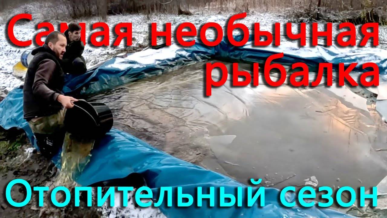 Кролики плодятся Перепелки несут больше яиц. Начали отопительный сезон Ловим руками рыбу из бассейна смотреть онлайн