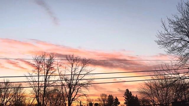 Раннее утро.Пение птиц на рассвете.Wake up in the morning with birds sounds. #sunrise #birds #sprin смотреть онлайн
