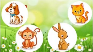 цæрæгойтæ иронау сабитæн (названия животных на осетинском для детей, смотри и запоминай!)