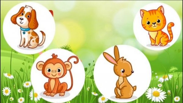 цæрæгойтæ иронау сабитæн (названия животных на осетинском для детей, смотри и запоминай!)